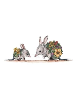 Buy 👏 Maxwell & Williams Marini Ferlazzo Australian Families Bilby & Joey 50x70cm Tea Towel White 😀